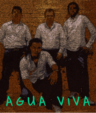 Agua Viva Cuban Son band